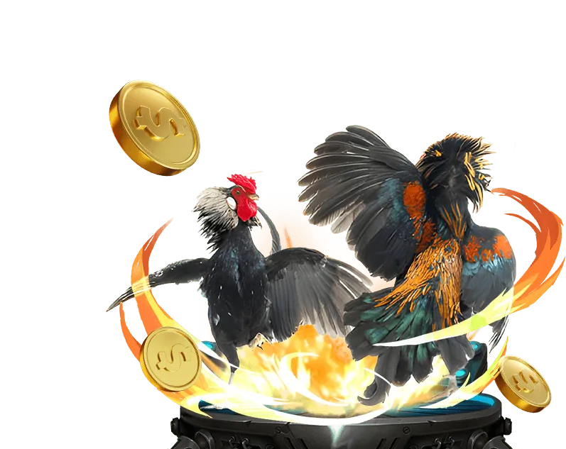 Khuyến Mãi Đá Gà hz88 win